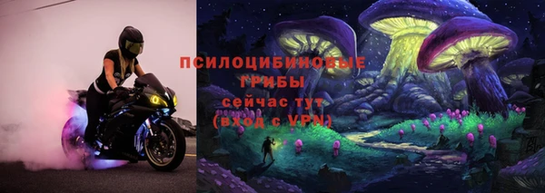 гашик Белокуриха