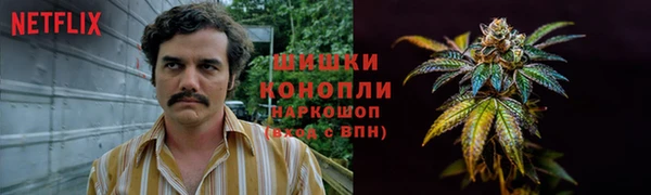 spice Беломорск