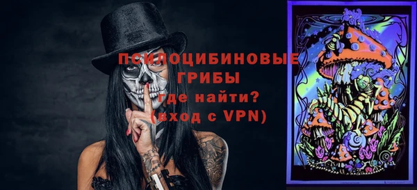 гашик Белокуриха