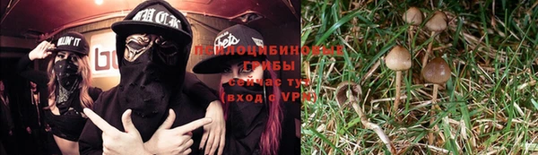 соль ск Белоозёрский