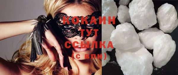 гашик Белокуриха