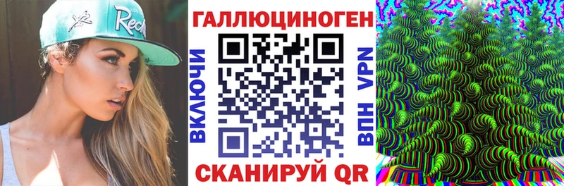 мега ТОР  Новотитаровская  Псилоцибиновые грибы прущие грибы 
